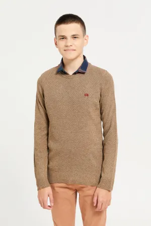 Senior Boys Beige Collared Sweater